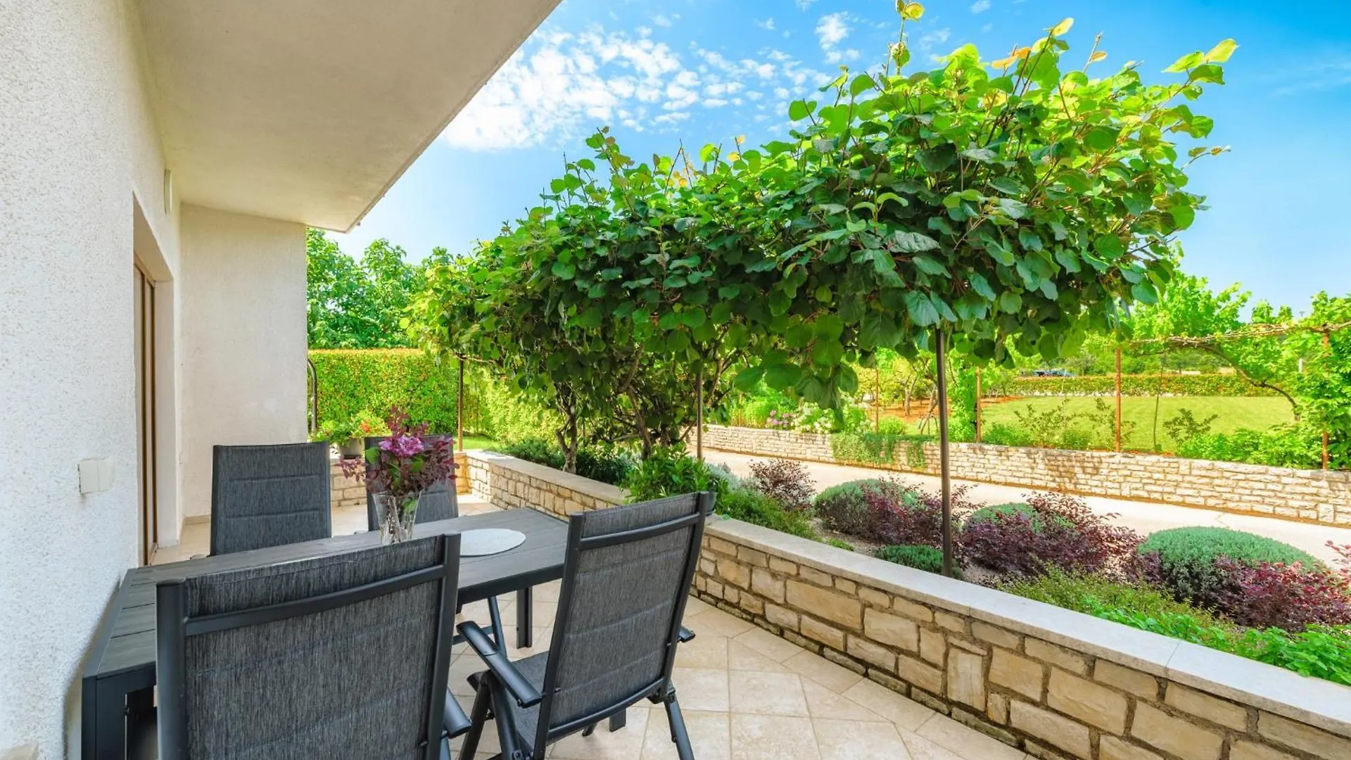 House Demetra Villa Tinjan