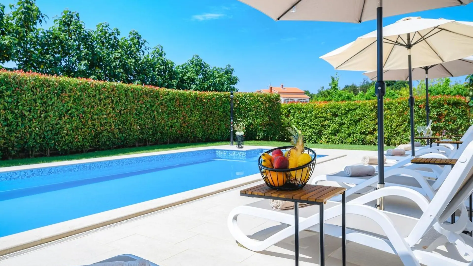 House Demetra Villa Tinjan